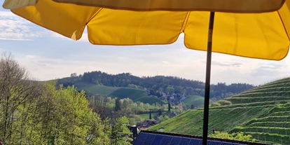 Monteurwohnung - Bühlertal - Blick vom Balkon über die Weinberge - Ferienwohnung Heimatliebe