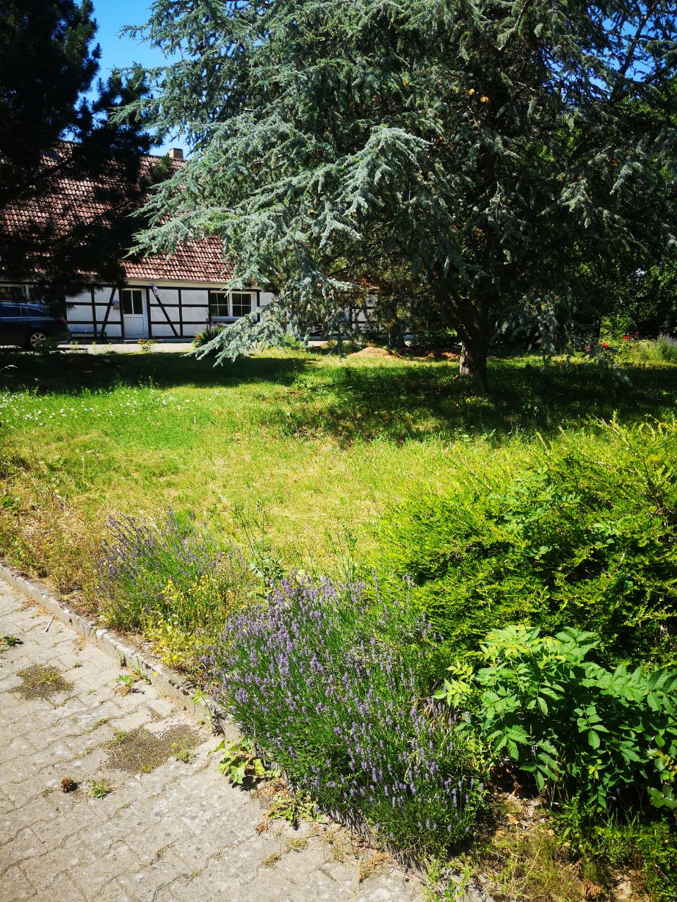 Monteurwohnung - Kummerower See - Wohnung Malchin