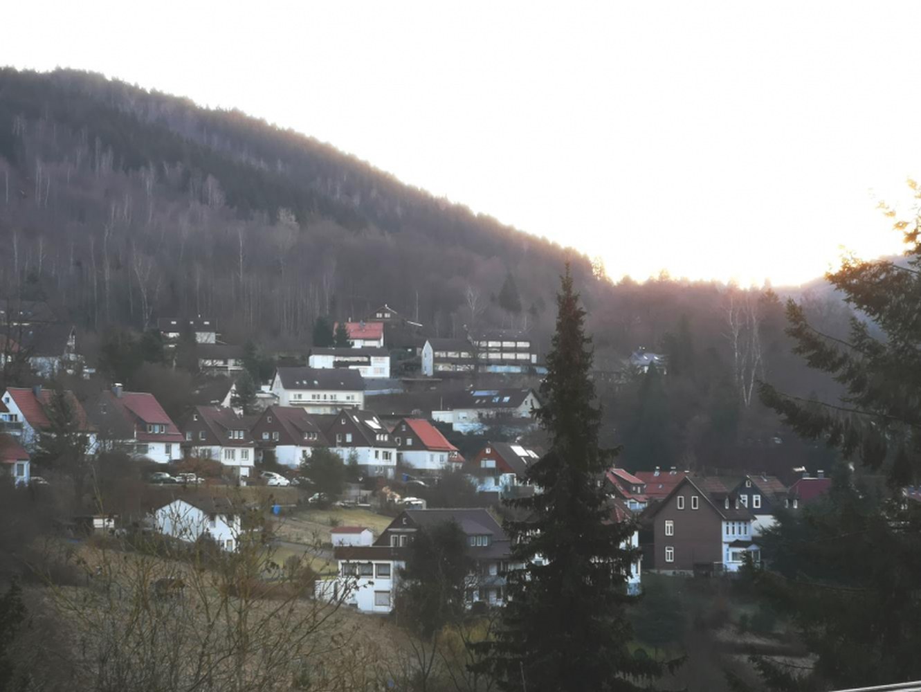 Monteurwohnung - HomeRent in Bad Grund (Harz) und Umgebung