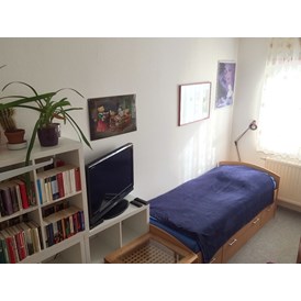 Monteurzimmer: Wohnzimmer mit Bett, Kleiderschrank, TV und kleiner Bibliothek  - Melli‘s Mini-Wohnung 