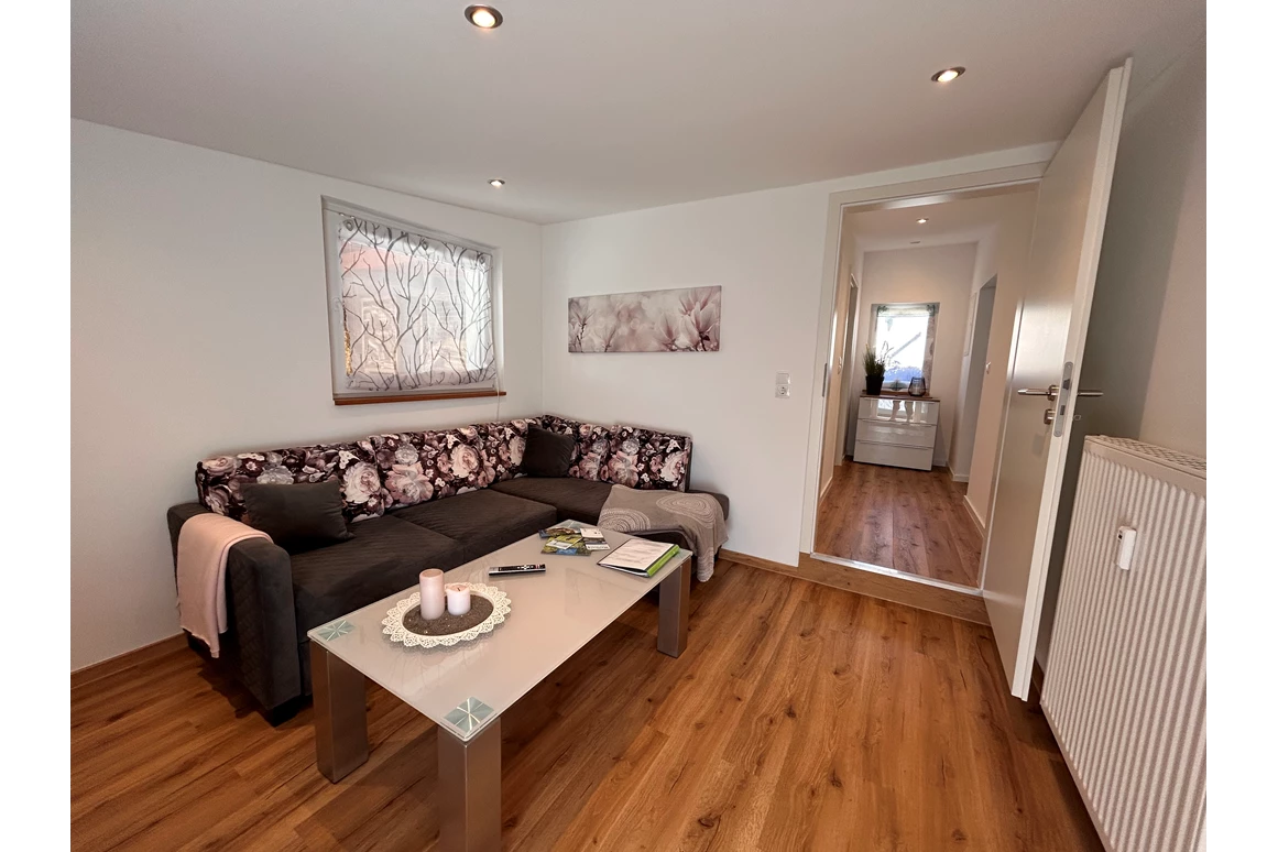 Monteurzimmer: Wohnzimmer mit TV und Schlafsofa - Fewo Nestblick