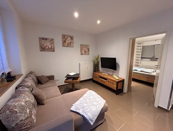 Monteurzimmer: Wohnzimmer mit TV und Schlafsofa - Ferienwohnung Hofblick