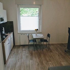 Monteurzimmer: Zimmer mit Küche zeile  - 1 Zimmer Appartement