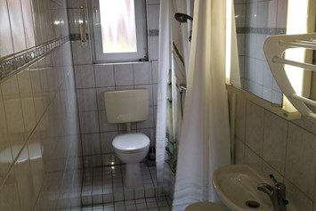 Monteurzimmer: Bad mit Dusche - 1 Zimmer Appartement