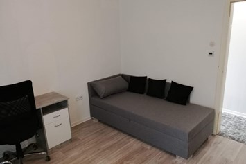Monteurzimmer: Schlafsofa und Schreibtisch und Fernseher  - 1 Zimmer Appartement