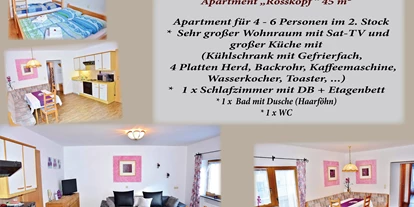 Monteurwohnung - Balkon - Österreich - Geräumige Wohnung für 4 - 6 Personen! 45 m" Apartment Rosskopf - großes Wohnzimmer - Astoria Apartments Wildschoenau