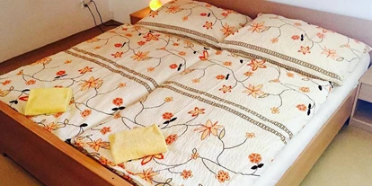 Monteurwohnung - WLAN - Südmährische Region - Villa Lednice