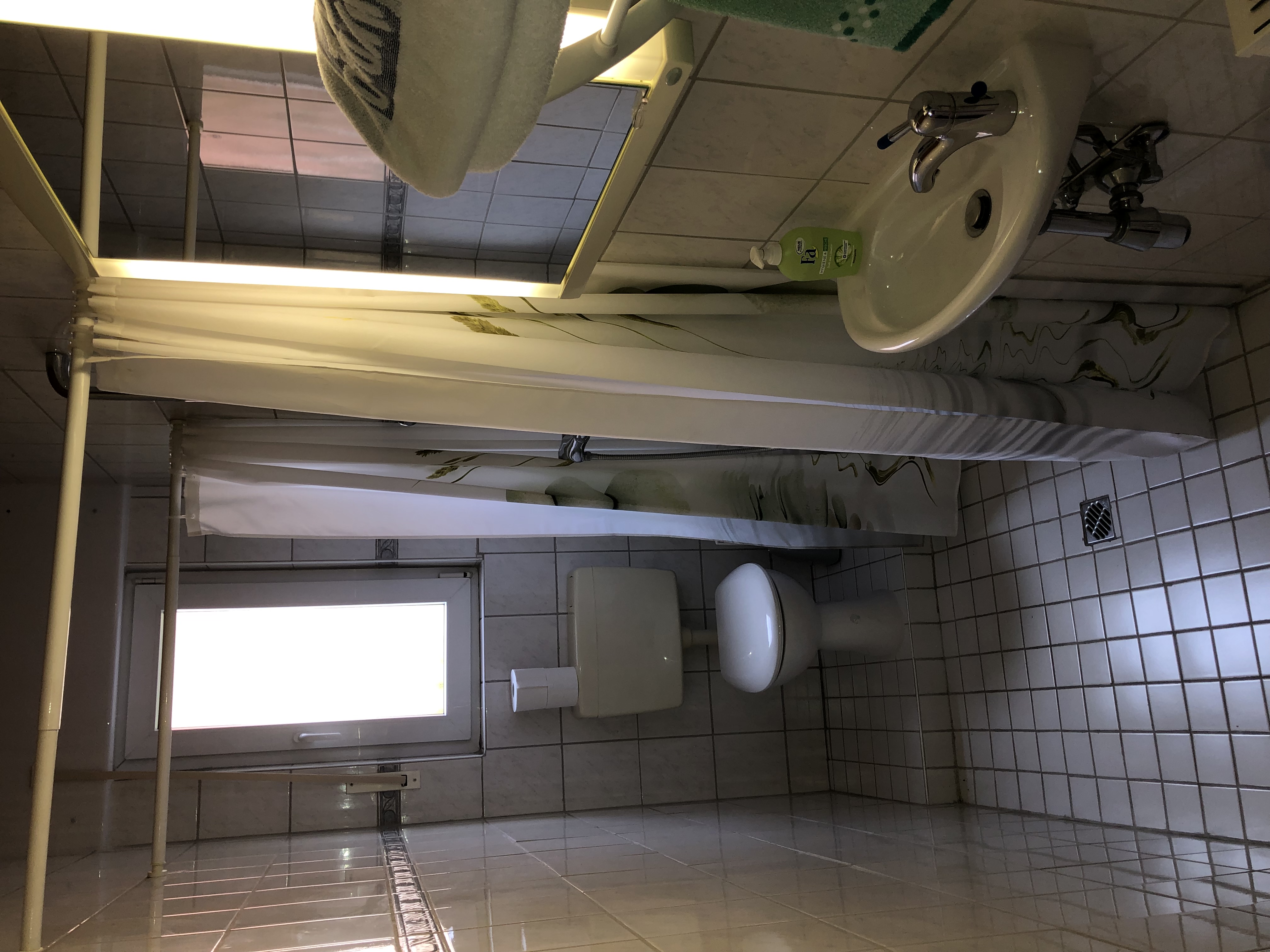 Monteurzimmer: Badezimmer - Wildpferdchen