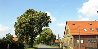 Monteurwohnung - Warsow (Landkreis Havelland) - Gestüt und Pension Lidenhof in Rohrlack - Gestüt und Pension Lidenhof