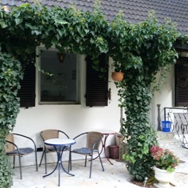 Monteurzimmer: Ferienhaus Schatz mit der Terrasse vor dem Häuschen - Ferienhaus Schatz