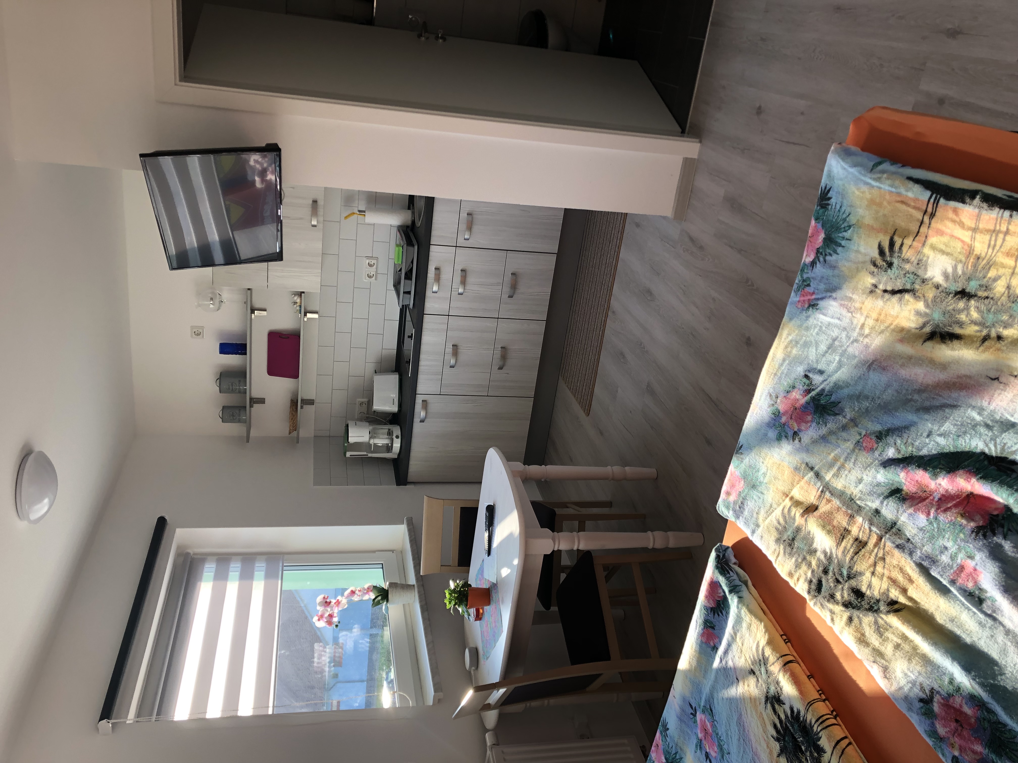 Monteurwohnung - Kühlschrank - Sachsen-Anhalt - Doppelzimmer mit Küchenzeile und Bad