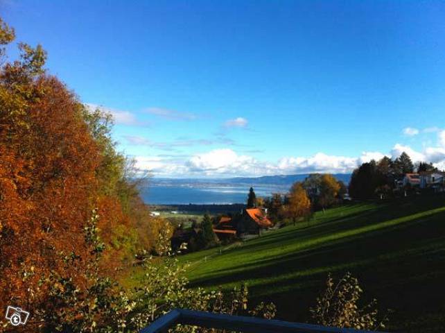 Monteurzimmer: BlueLodge Room