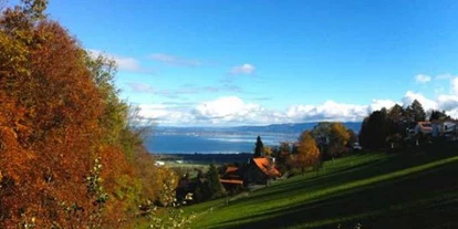 Monteurwohnung - Küche: Küchenmitbenutzung - Schweiz - BlueLodge Room