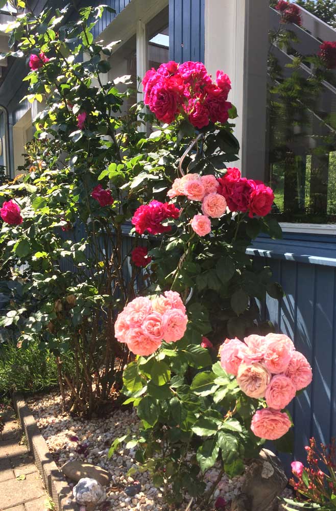 Monteurzimmer: BlueLodge Room