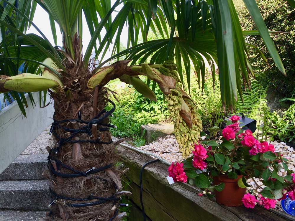 Monteurzimmer: BlueLodge Room