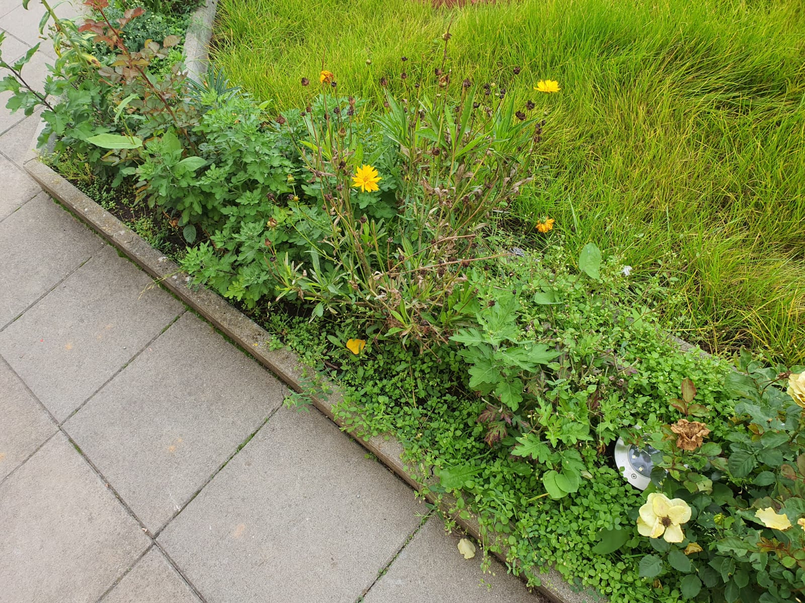 Monteurzimmer: Außenbereich - Pension Jasmin
