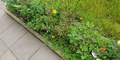 Monteurwohnung - PLZ 74336 (Deutschland) - Außenbereich - Pension Jasmin
