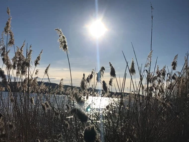 Monteurzimmer: Ferienhaus Seeblick