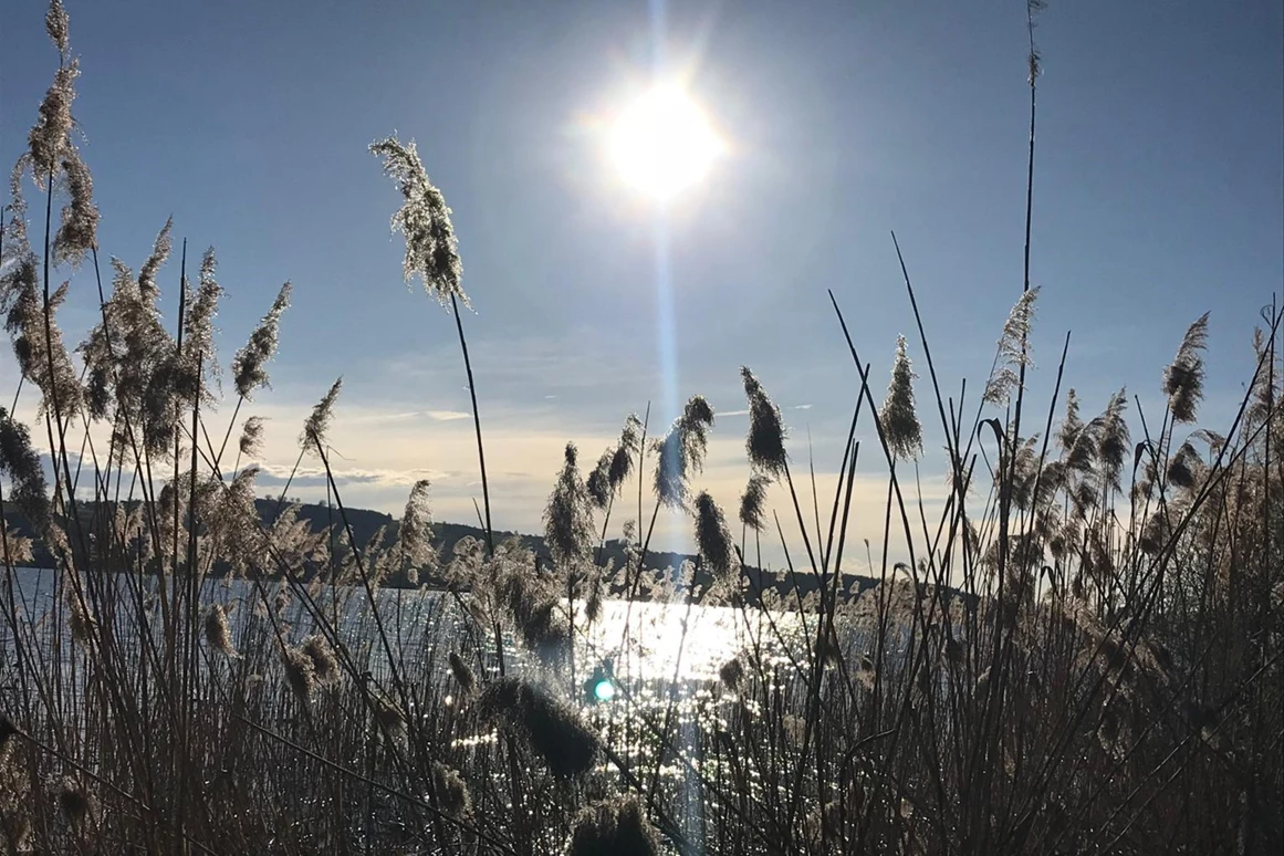 Monteurzimmer: Ferienhaus Seeblick