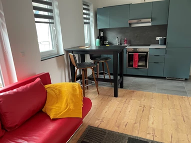 Monteurzimmer: Apartment Domino