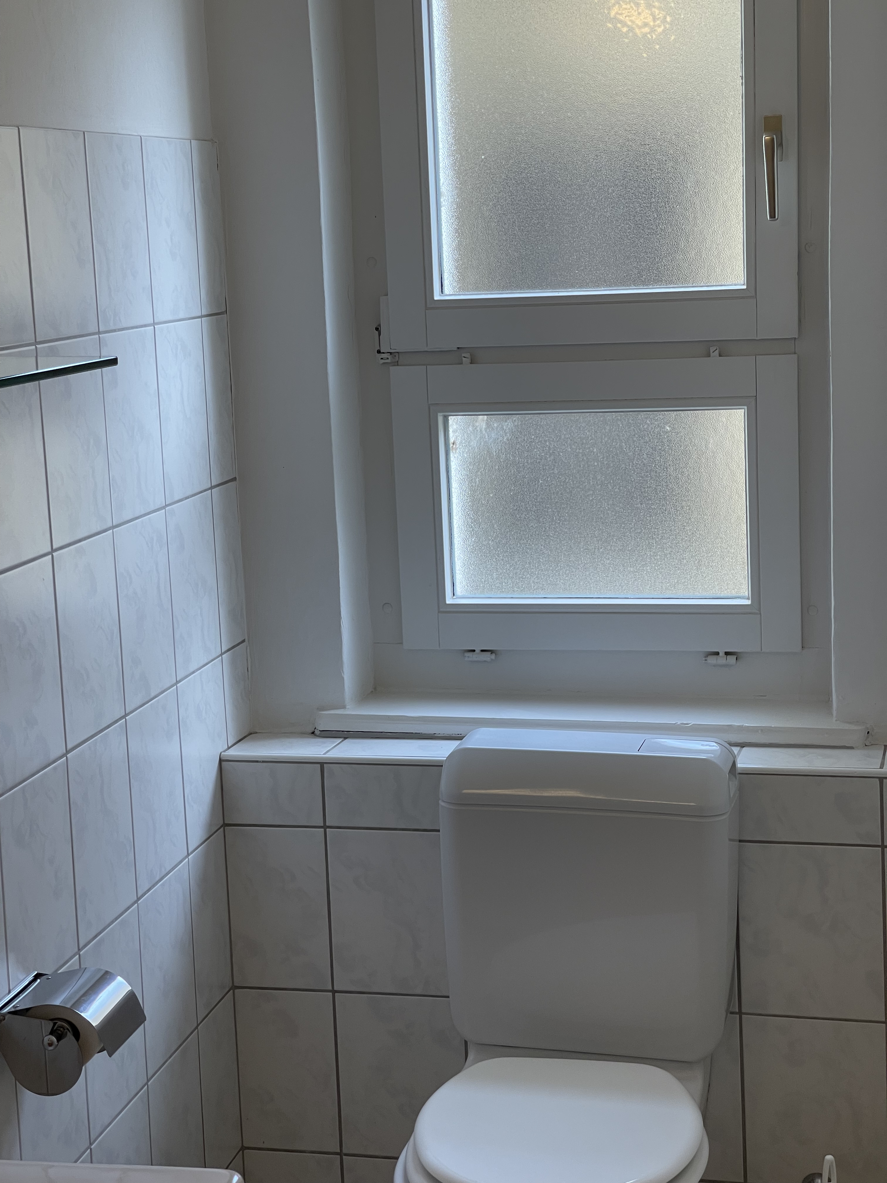 Monteurzimmer: WC - The R Apartment Munot - Old Town
