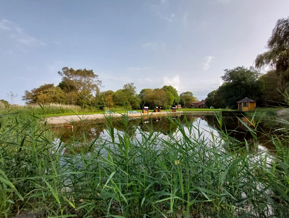 Monteurzimmer: Unser Teich mit Strandkörben und Sonnenliegen - DOLLE SCHOLLE: Wohnung mit Platz für bis zu 5 Gäste