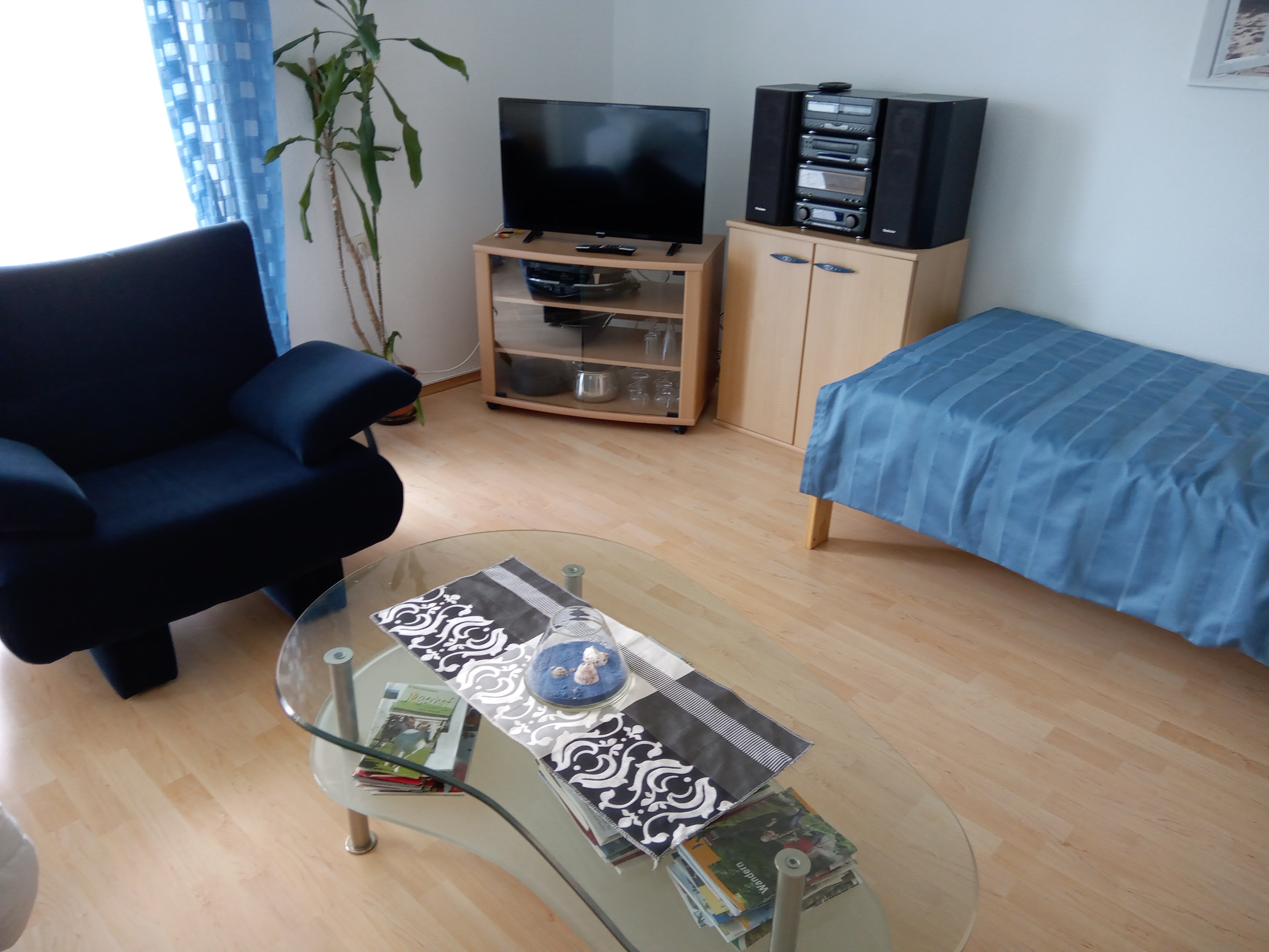 Monteurwohnung - PLZ 72379 (Deutschland) - Wohnzimmer - Ferienwohnung Palmgarten
