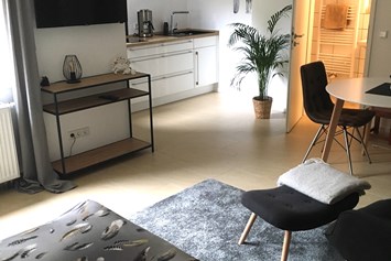 Monteurzimmer: Modernes DZ- Appartement mit Küche und Bad