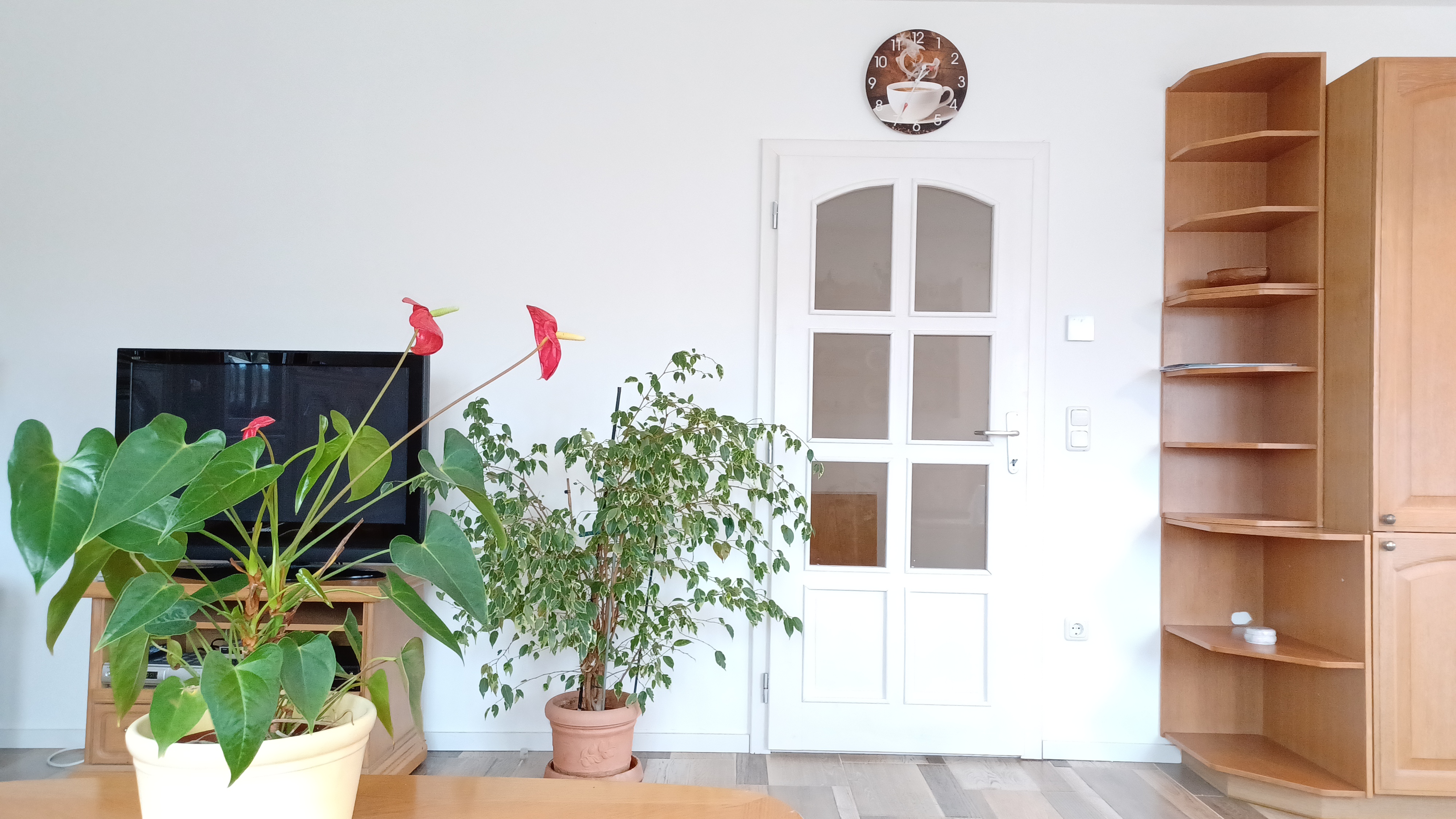 Monteurzimmer: Ferienwohnung Mioritza