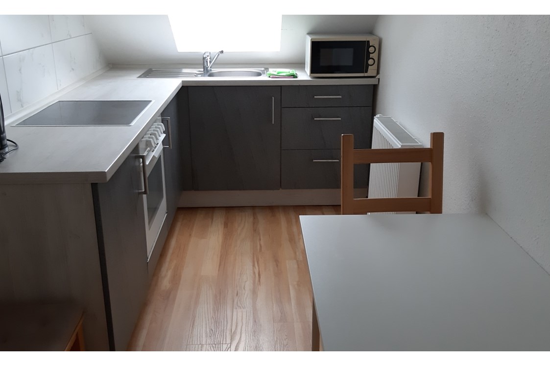 Monteurzimmer: Beispiel: Küche - Apartments Slobodyansky