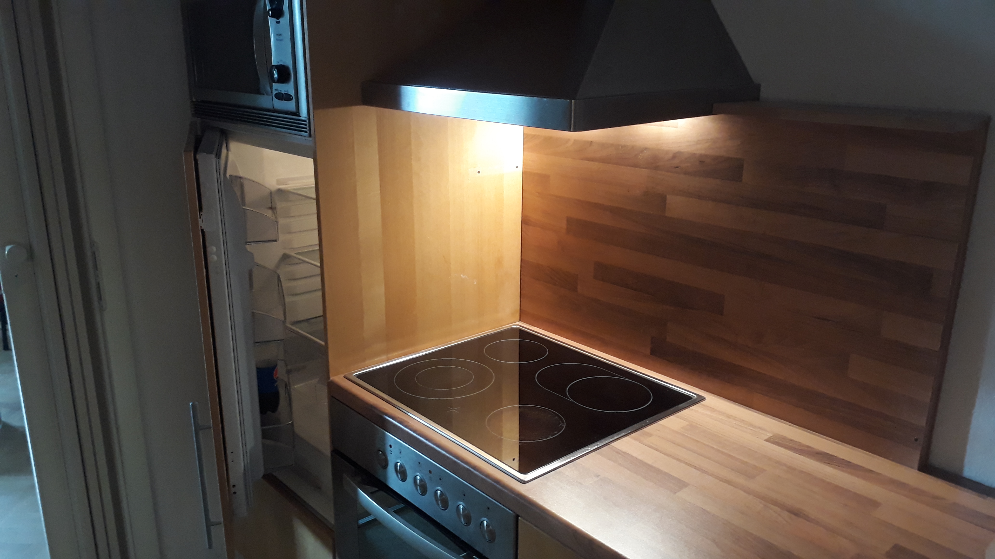 Monteurwohnung - Zimmertyp: Doppelzimmer - Oschatz - Ferien­wohnung "Monti" am Biberdamm