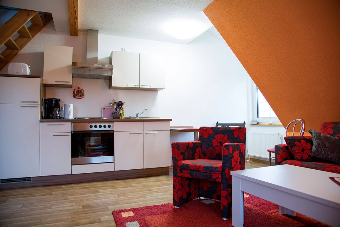 Monteurzimmer: Studio Ansicht auf Küchenzeile + Wohngelegenheit - Apartment Haus am Grün