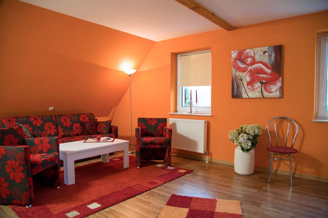 Monteurzimmer: Wohnbereich mit ausklappbarem Schlafsofa im Studio - Apartment Haus am Grün