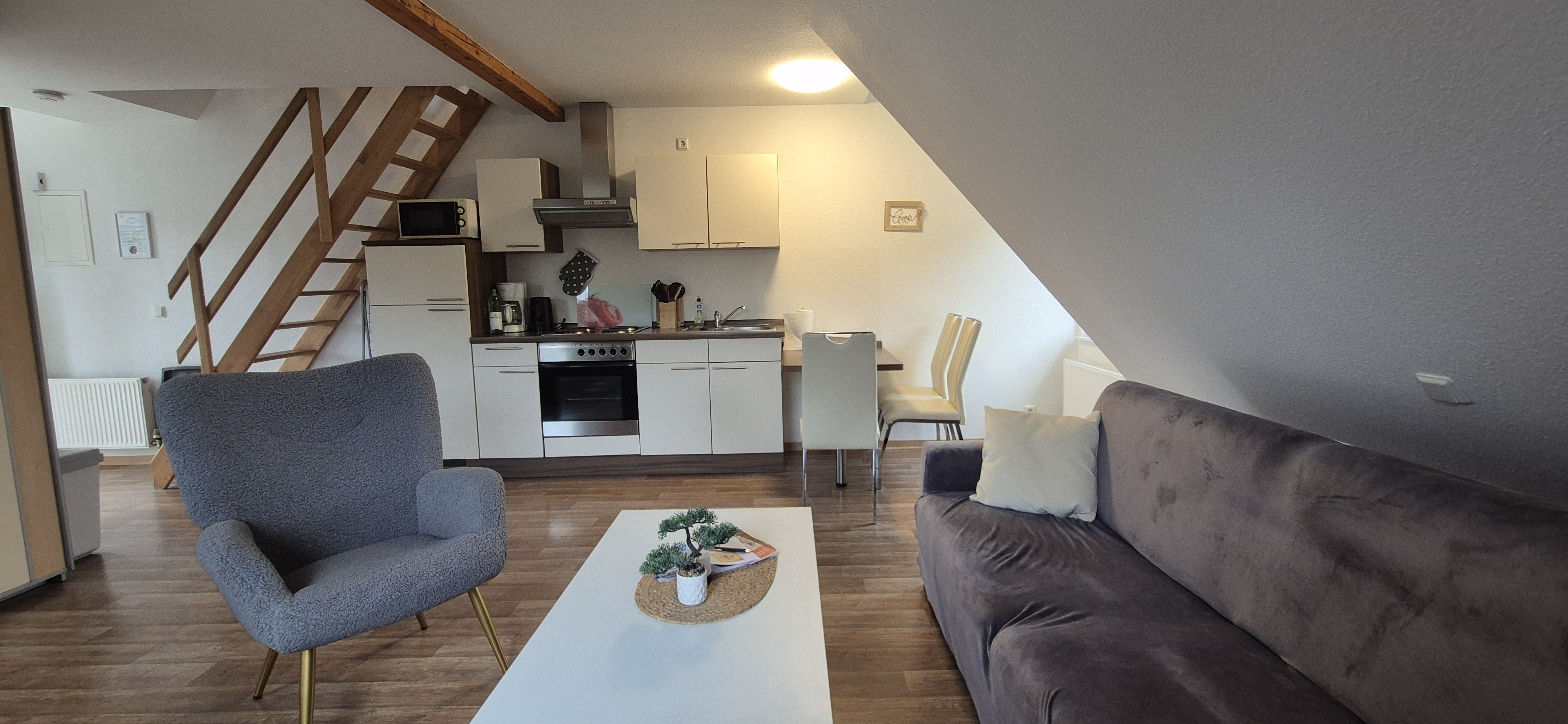 Monteurzimmer: Wohnbereich mit Küche - Ferienapartments Haus am Grün - Ruhe & Entspannung mitten in der Natur 