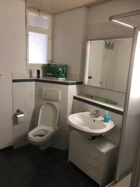 Monteurwohnung - Aargau - Bad - Dusan 