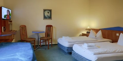 Monteurwohnung - Waschmaschine - Deutschland - Dreibettzimmer - Hotel am Möllenberg