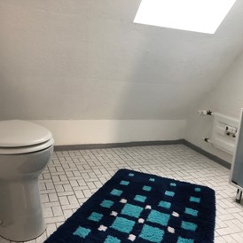 Monteurzimmer: WC, Badezimmer - (AM112) Gut ausgestattete Monteurwohnung 