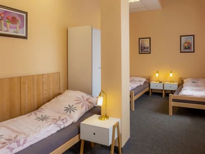 Monteurwohnung - TV - Deutschland - Haus Tanne