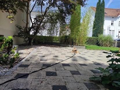 Monteurwohnung - PLZ 79804 (Deutschland) - Garten - Rückzugsort an der malerischen Grenze zwischen Deutschland und der Schweiz