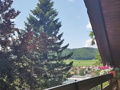 Monteurwohnung - TV - Deutschland - Ausblick - Monteurzimmer im Höfle