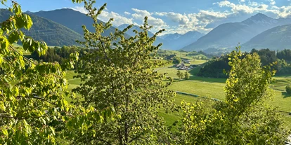 Monteurwohnung - PLZ 6020 (Österreich) - Aussicht - Team-Wohnung: Langfristig & Preiswert