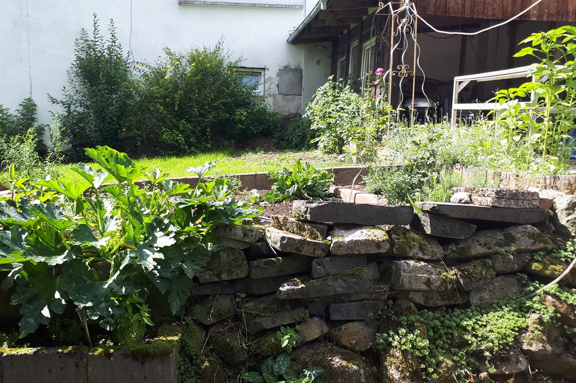 Monteurzimmer: Gartenansicht - Ferienwohnung Mika 1km von Bad Marienberg