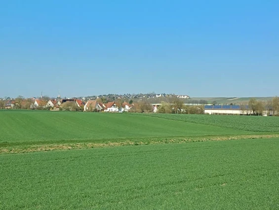 Monteurzimmer: Ferienwohnung Wiesengrund bei Mainz