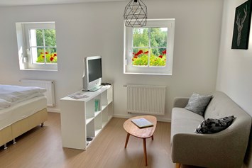 Monteurzimmer: Der Wohnbereich mit Couch und Fernseher mit HD-Digitalempfang. - Business- & Ferienwohnung Tietze