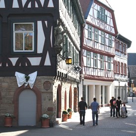Monteurzimmer: Altstadt Bensheim nur 15 Fußminuten entfernt - Apartmenthaus & Ferienwohnungen Horster