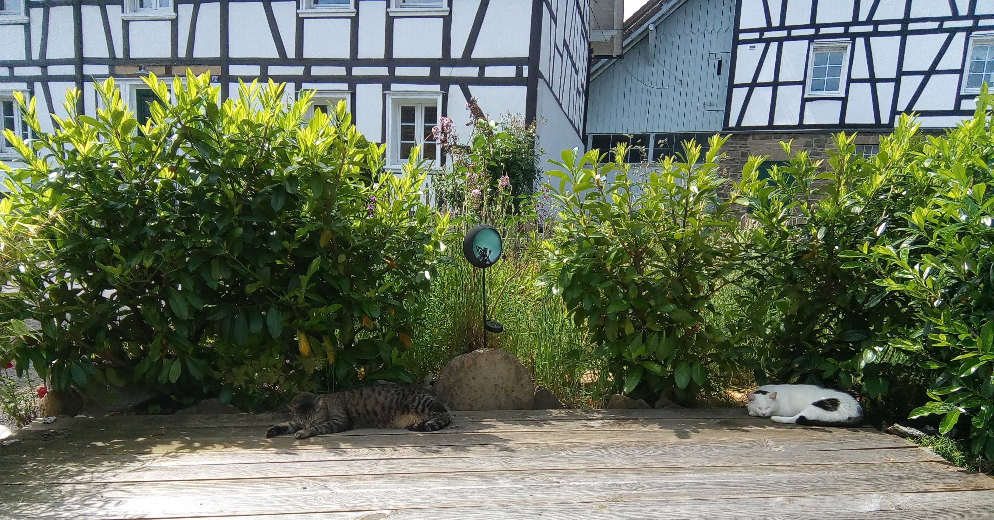 Monteurzimmer: Liege-Podest - Just have a good time 