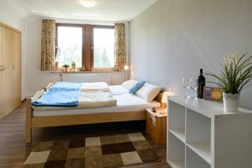 Monteurzimmer: Hotelzimmer - Im Tannengrund GmbH