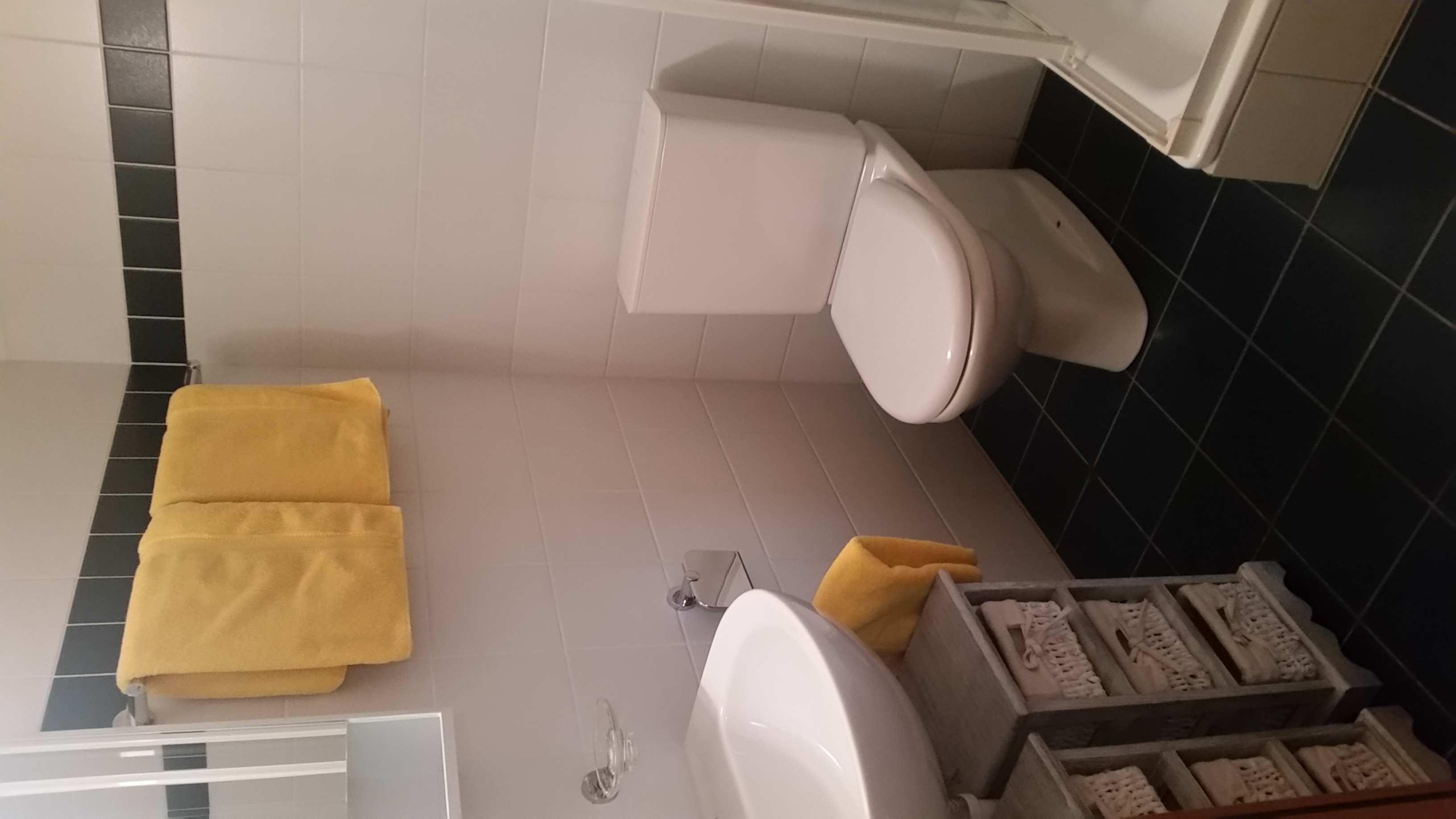 Monteurwohnung - Kühlschrank - Schweiz - Bad mit Dusche - Obereigasse