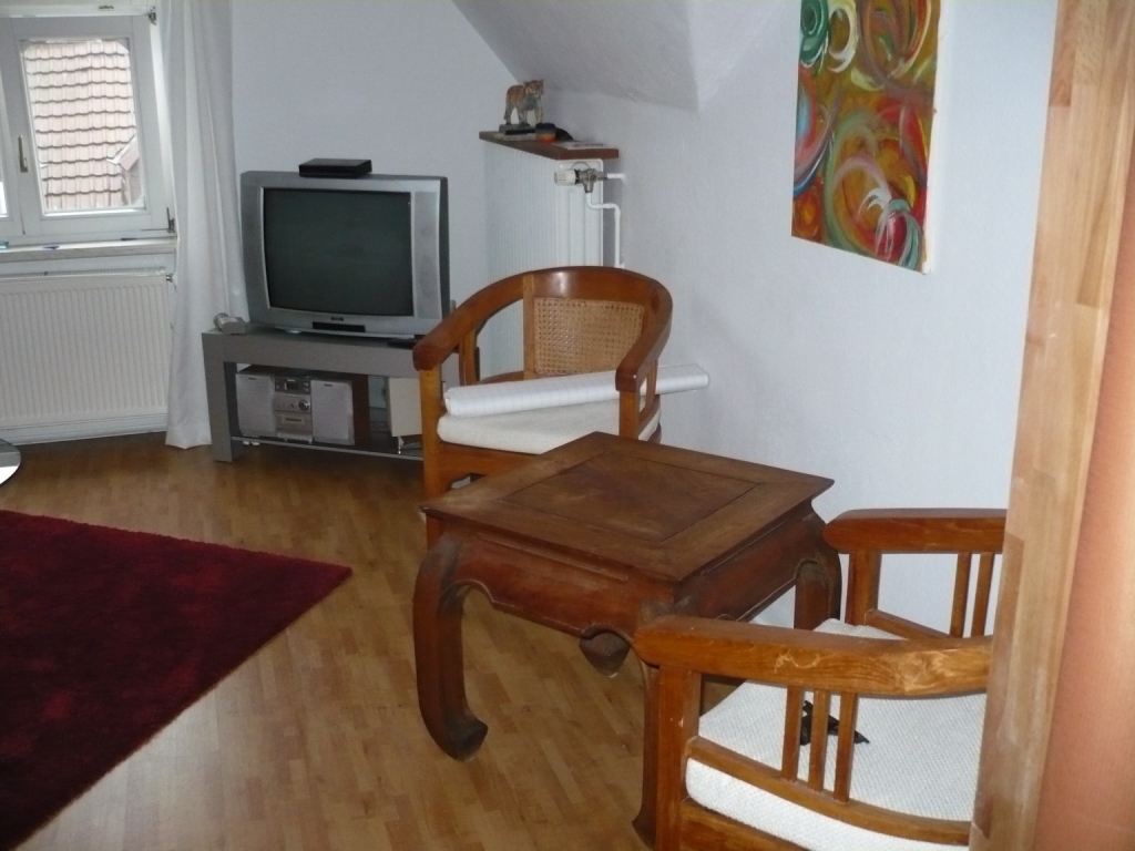 Monteurwohnung - Küche: Küchenmitbenutzung - Deutschland - Möbliertes Zimmer mit Herkulesblick in Künstlerwohnung 