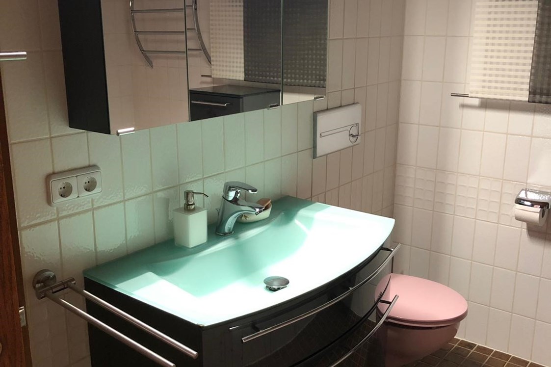 Monteurzimmer: Das anspruchsvolle Badezimmer mit Dusche - Zum Langenberg